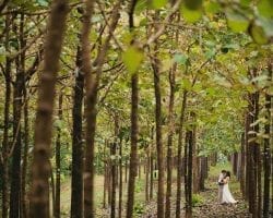 couple in a forest