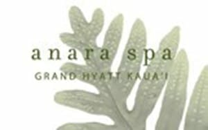 Anara Spa Logo