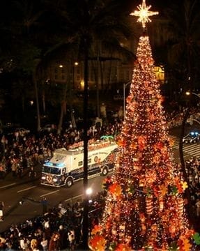 HonoluluCityLightsTree