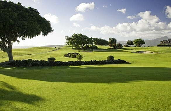 Enjoy a Round at the Kiahuna Golf Club