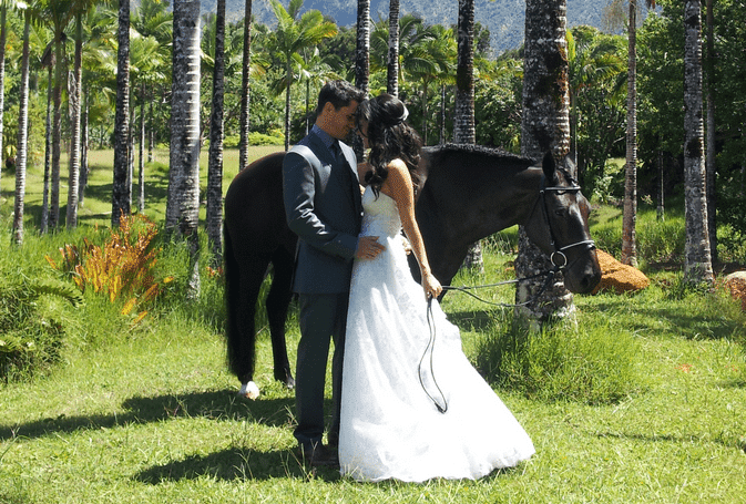 Wedding on Horseback