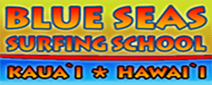 Blue Seas Surfing School Logo