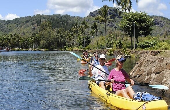 Wailua Kayak Adventures
