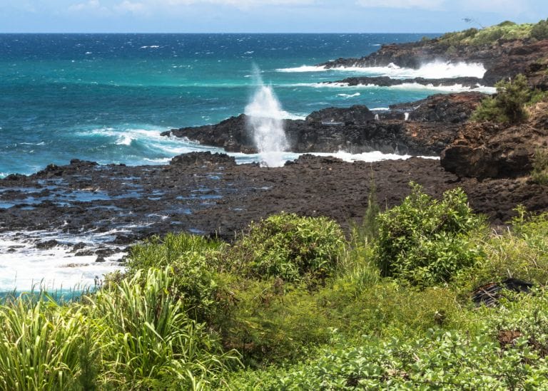 koloa-landing-beach-kauai-2