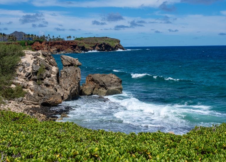 koloa-landing-beach-kauai-3