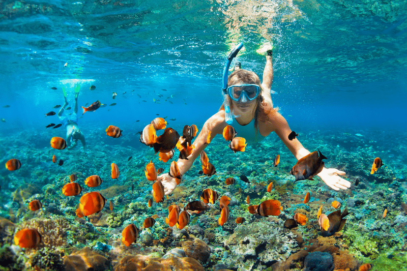 poipu-beach-kauai-snorkeling