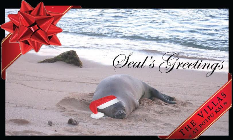 Seal with Hat - Seal's Greetings